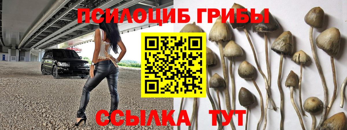 Галлюциногенные грибы Cubensis Заречный