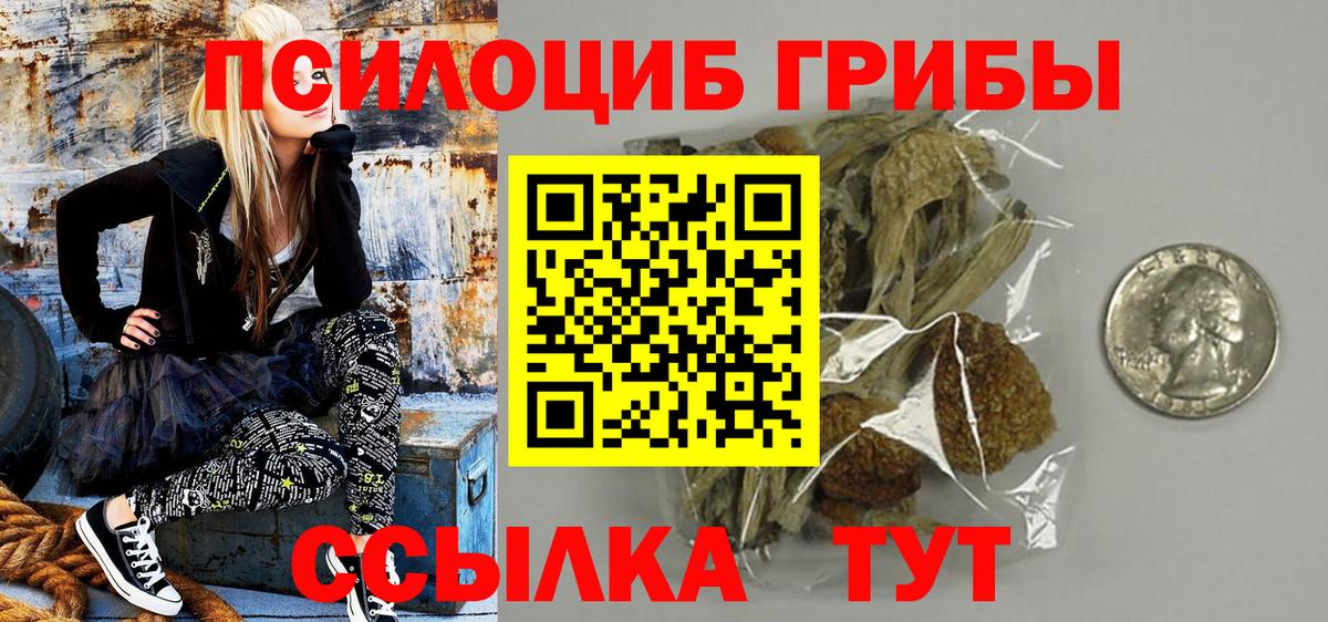 Заречный  Галлюциногенные грибы мицелий  Вход с VPN 